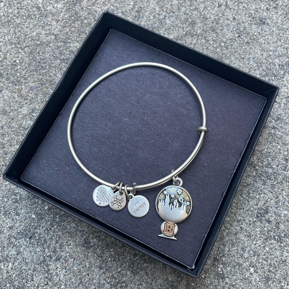 Alex and Ani Silver Charm Bracelet with Globe Pendant